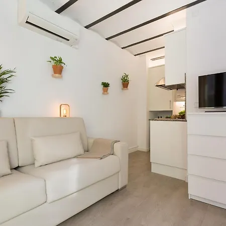 Apartment Ola Living Born *