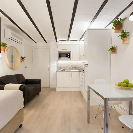 Ola Living Born * バルセロナ